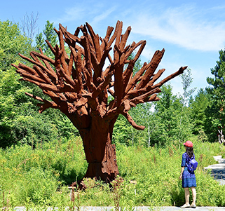 Michigan - The Great Lakes: The Wolverine State & Beyond - Classic Escapes